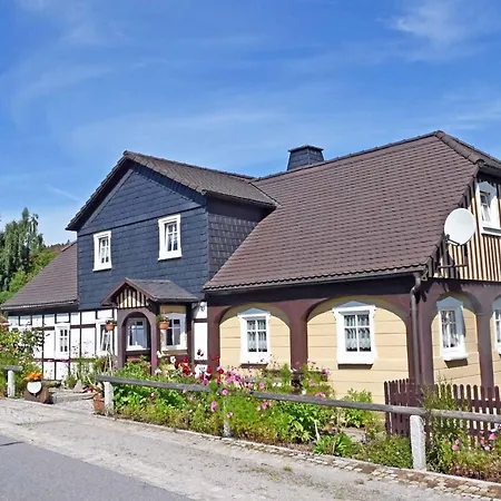 Tammer